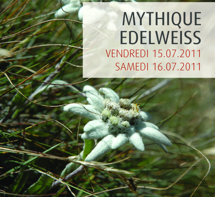 2011 – Colloque & Excursion “Mythique edelweiss”