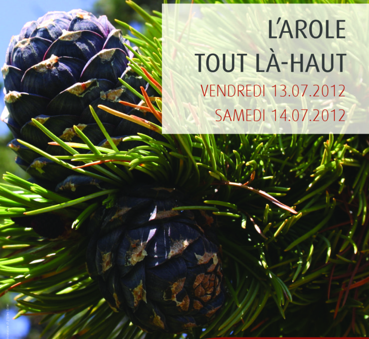 2012 – Colloque & Excursion “L’arole, tout là-haut”