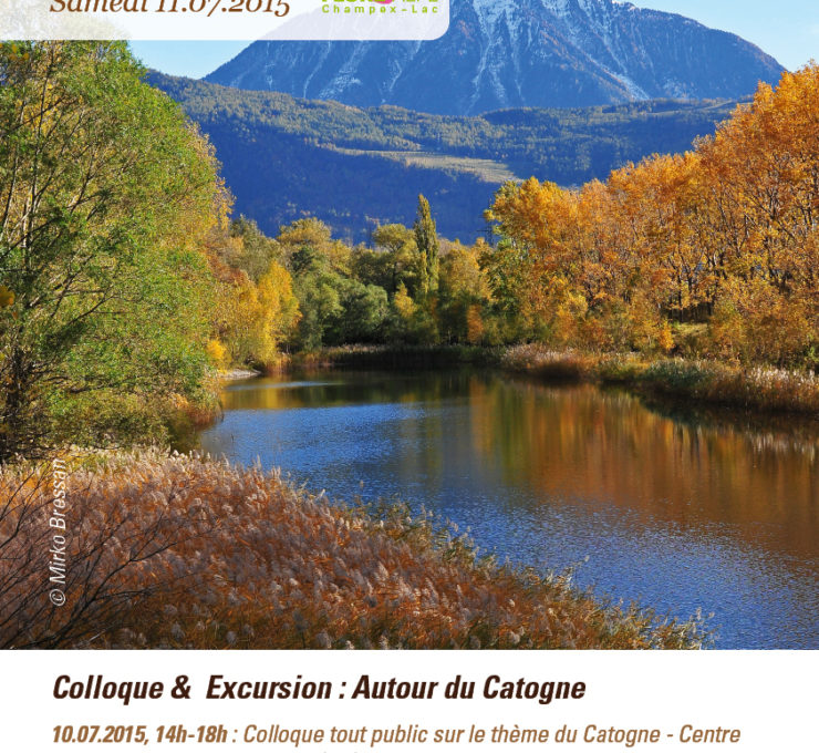 2015 – Colloque & Excursion “Autour du Catogne”